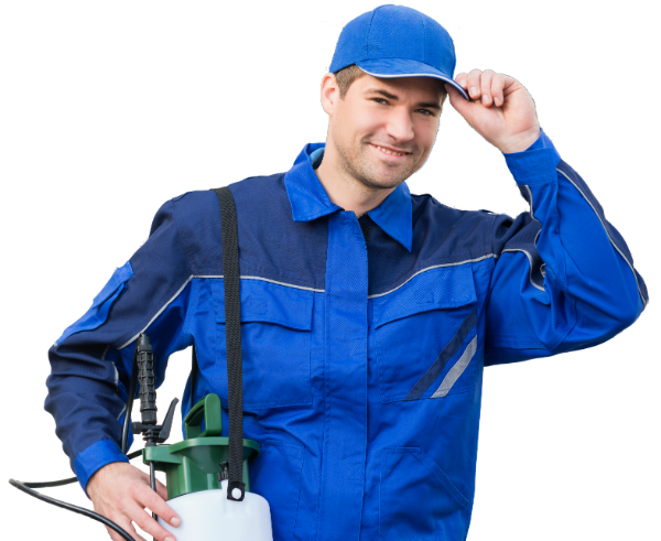 Pest Control Los Angeles | Rat Exterminator Los Angeles
